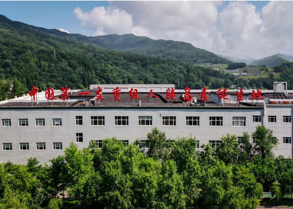 1724663065517621.png screenshot_20240826_170404.png